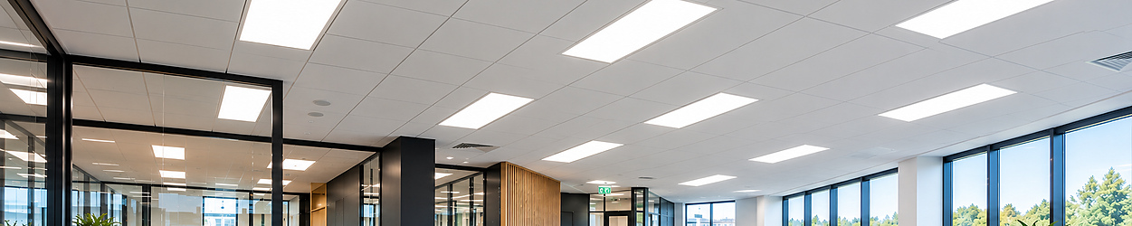 LED Panels 30x120 cm