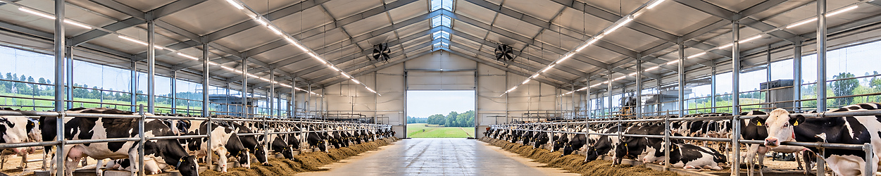 LED Barn Lighting LED Barn Lighting