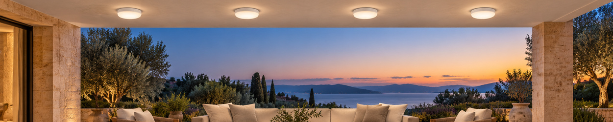 LED Outdoor Surface-Mounted Lights LED Outdoor Surface-Mounted Lights