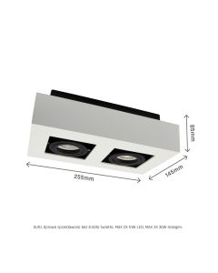 Surface-mounted spot GU10 2 heads – rectangular – white/black – adjustable – IP20 – 255×145×85 mm – without bulb