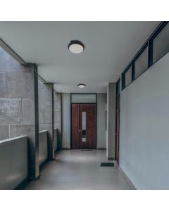 Ceiling light E27 – round – black – IP65 IK08 – Ø300×90 mm – without bulb