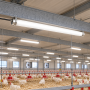 LED Waterproof Fitting IP69K 40W – 6,000 Lumen – 4000K – 120 cm – photo 2