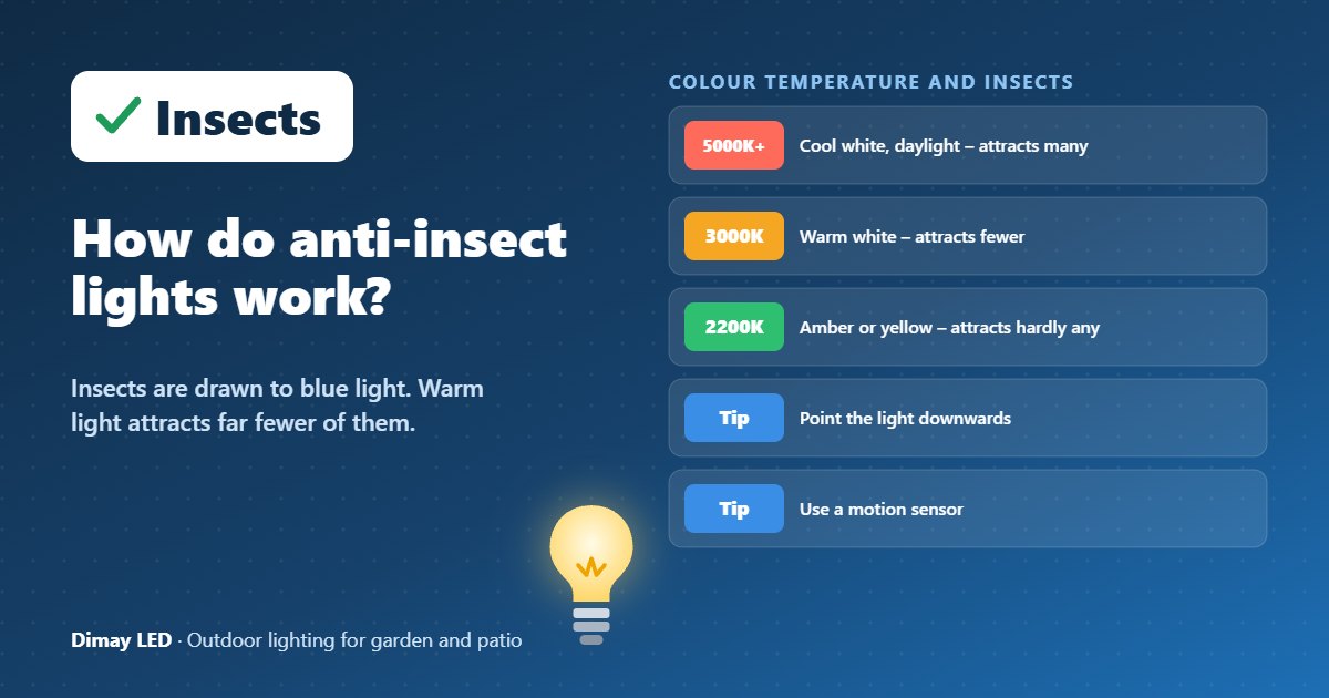 Infographic: How do anti-insect lights work?