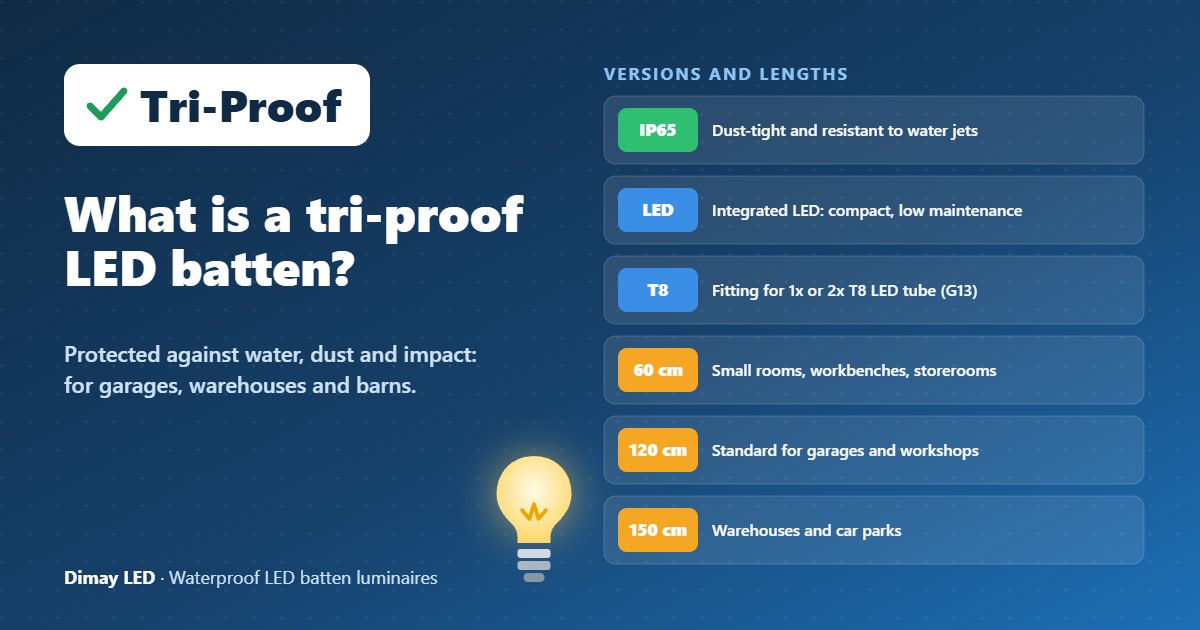 Infographic: What is a tri-proof LED batten luminaire?